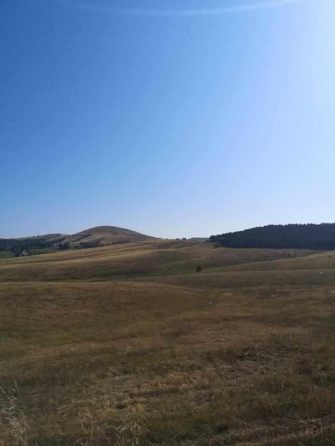Apartament Zlatibor Hills Zozon Zewnętrze zdjęcie